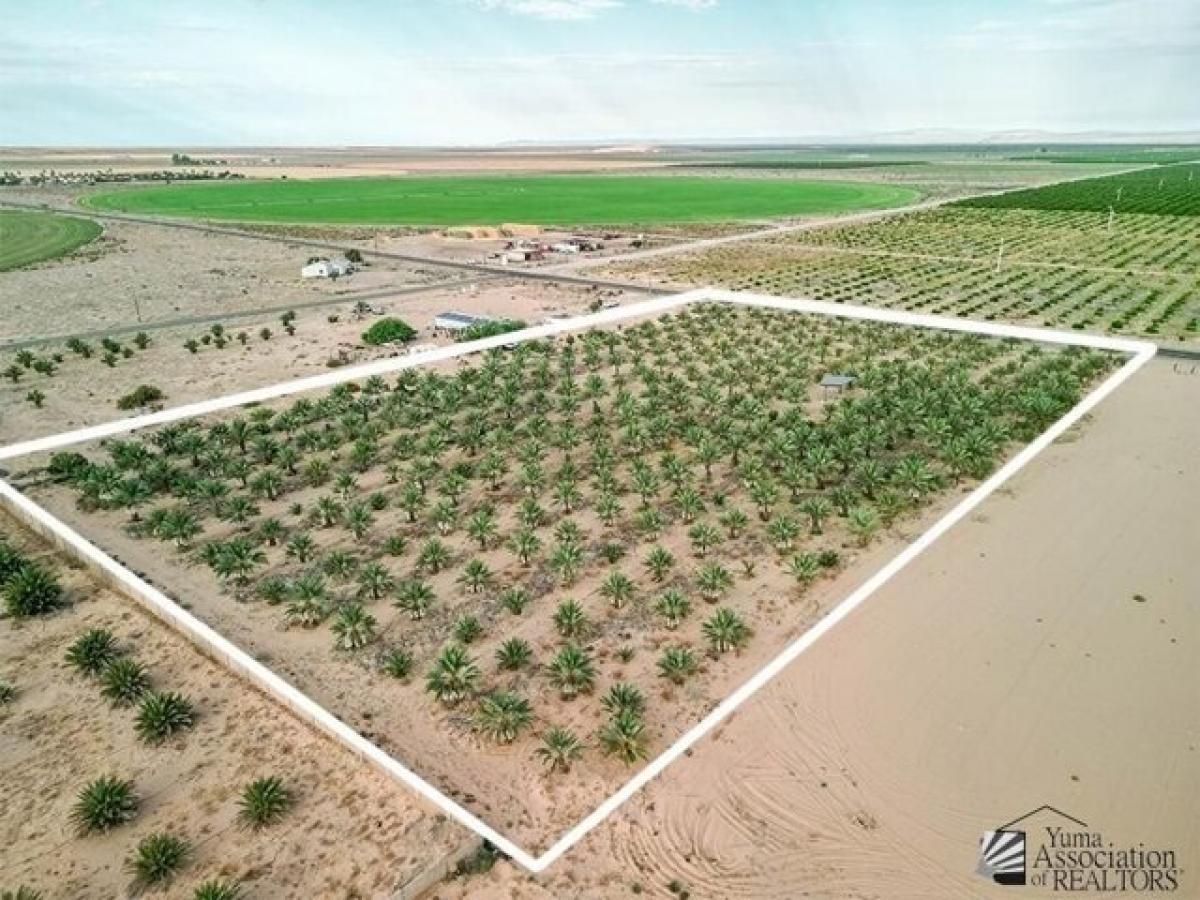 Picture of Residential Land For Sale in Yuma, Arizona, United States