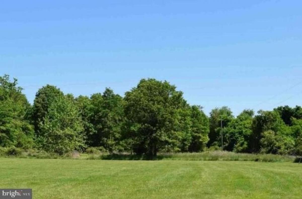 Picture of Residential Land For Sale in Bluemont, Virginia, United States