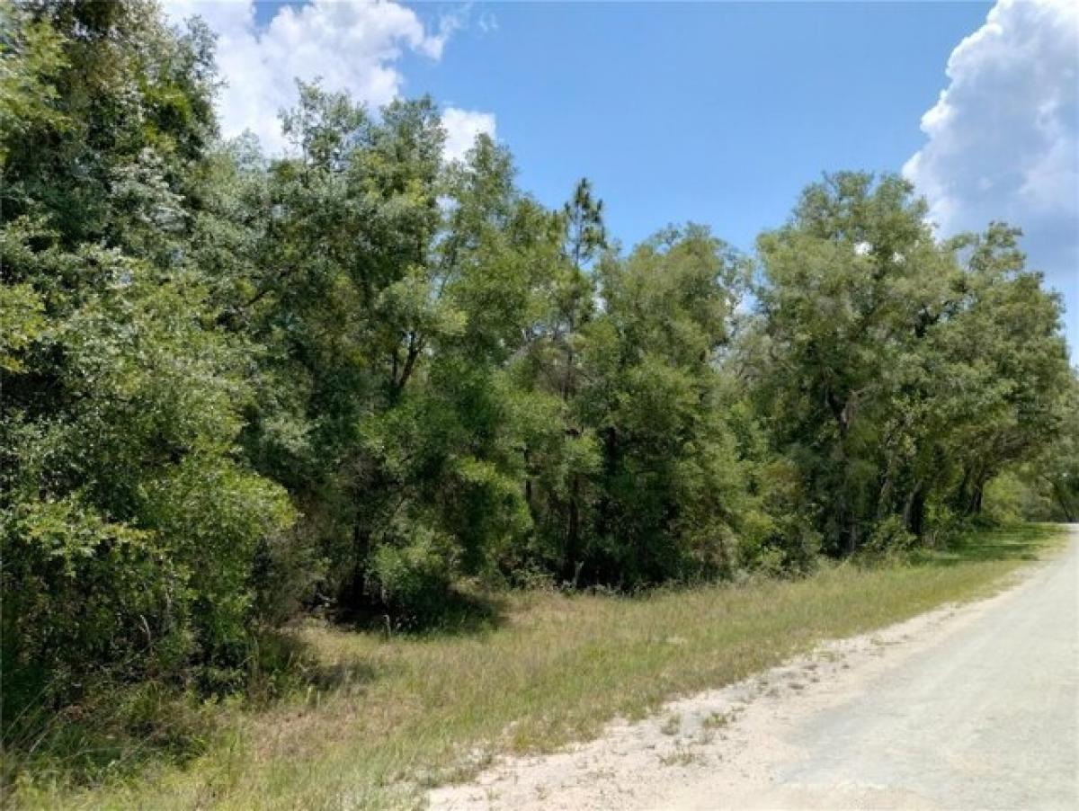 Picture of Residential Land For Sale in Webster, Florida, United States