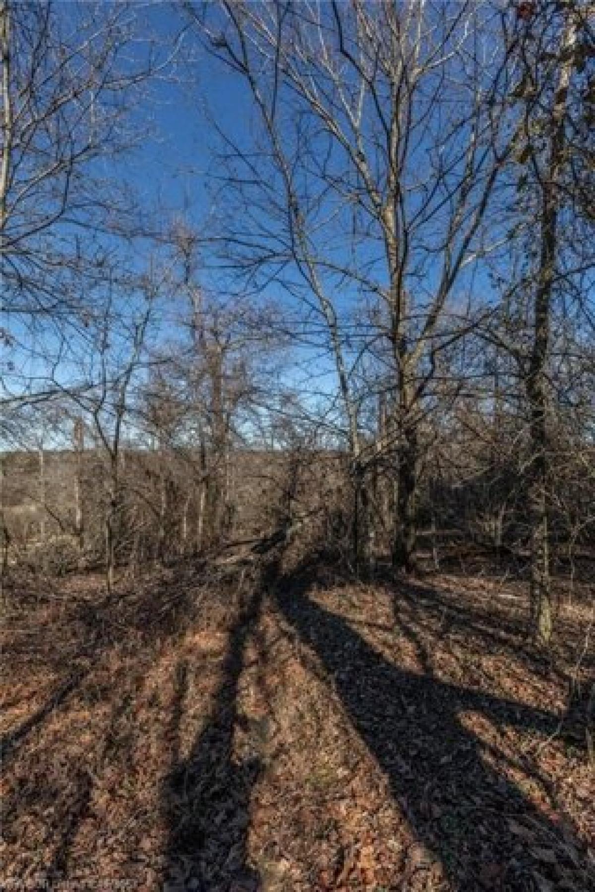 Picture of Residential Land For Sale in Alma, Arkansas, United States