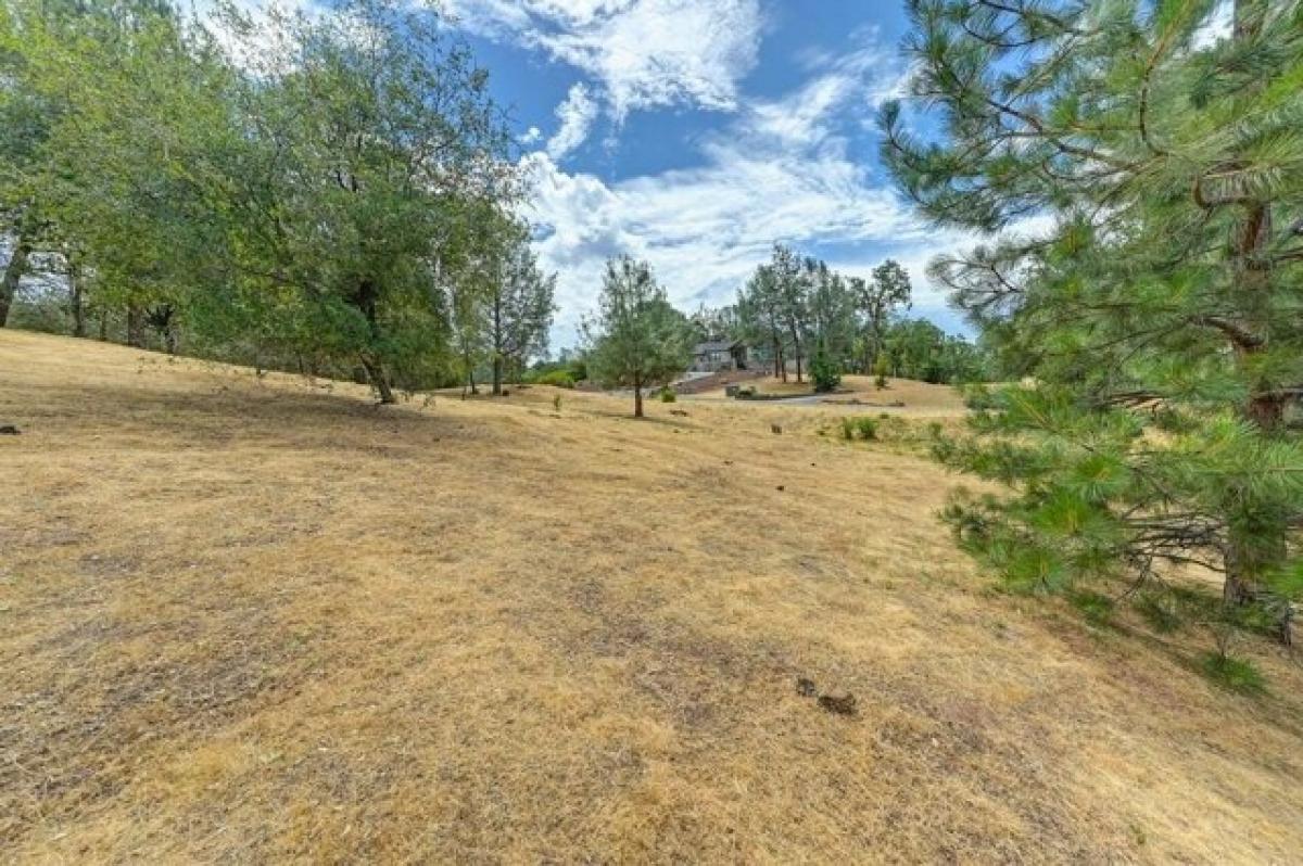 Picture of Residential Land For Sale in Auburn, California, United States