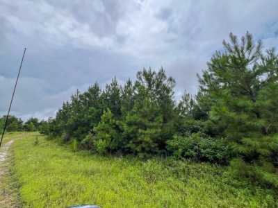 Residential Land For Sale in Groveton, Texas