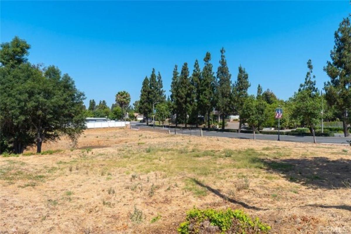 Picture of Residential Land For Sale in Yorba Linda, California, United States