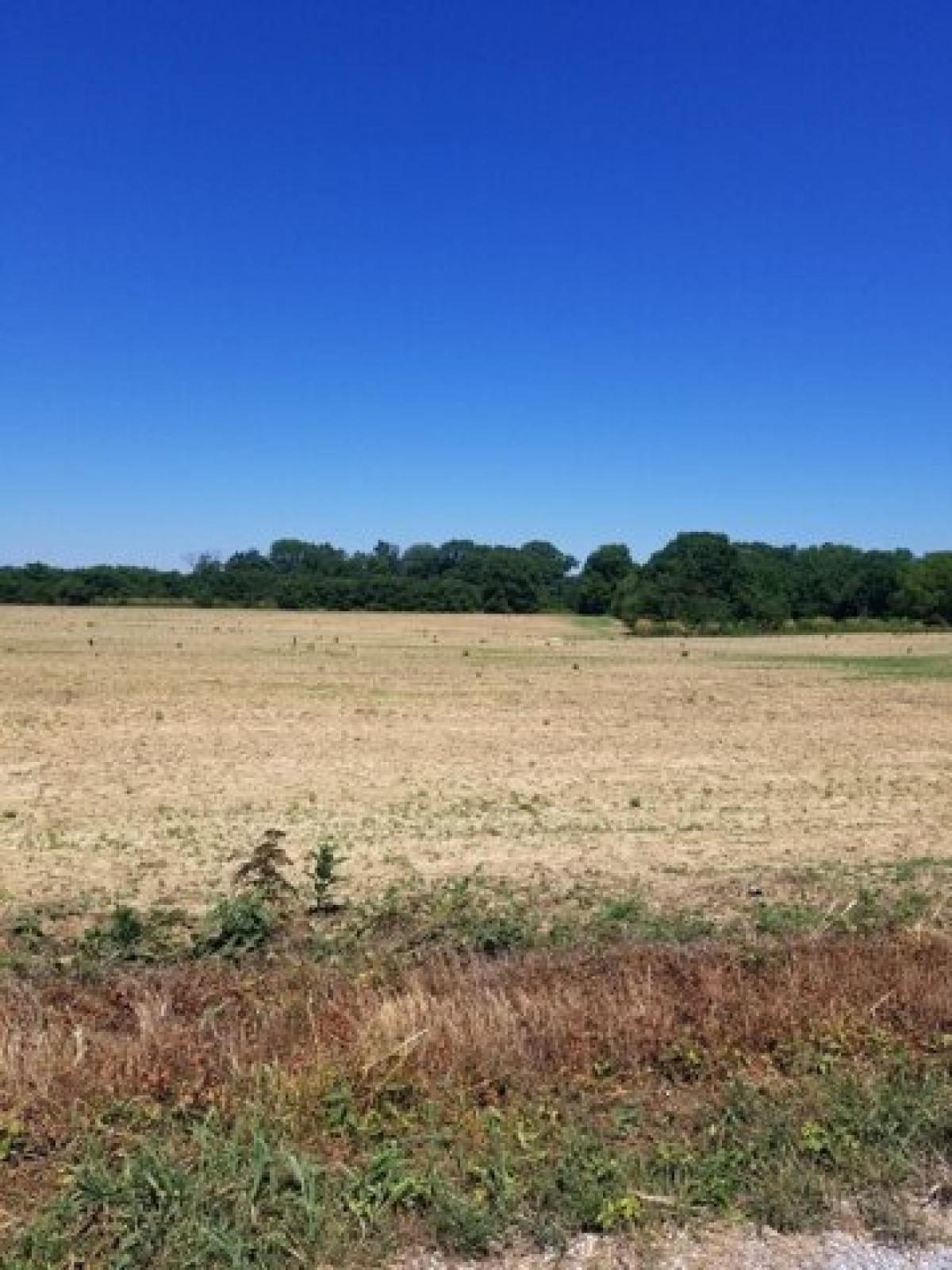 Picture of Residential Land For Sale in Lafayette, Tennessee, United States