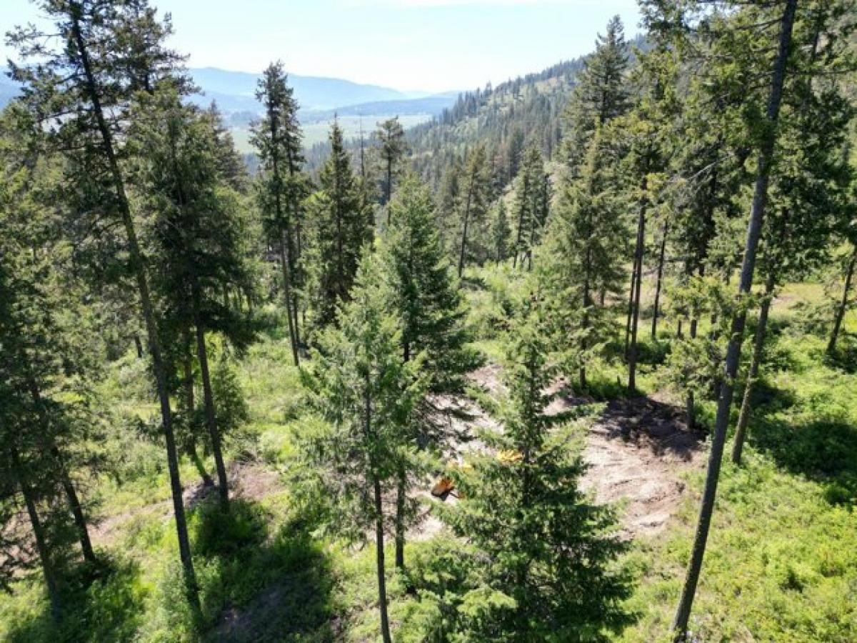 Picture of Residential Land For Sale in Colville, Washington, United States