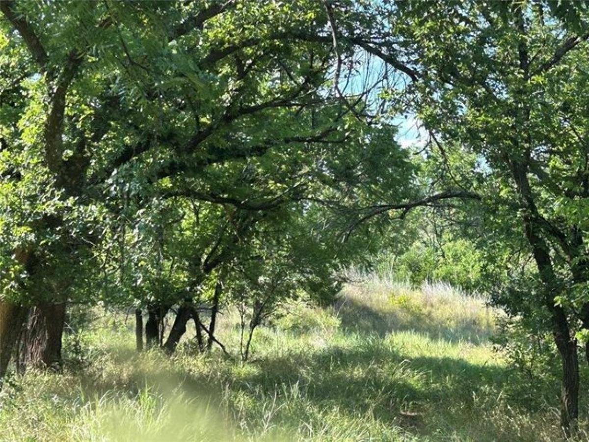 Picture of Residential Land For Sale in Elk City, Oklahoma, United States