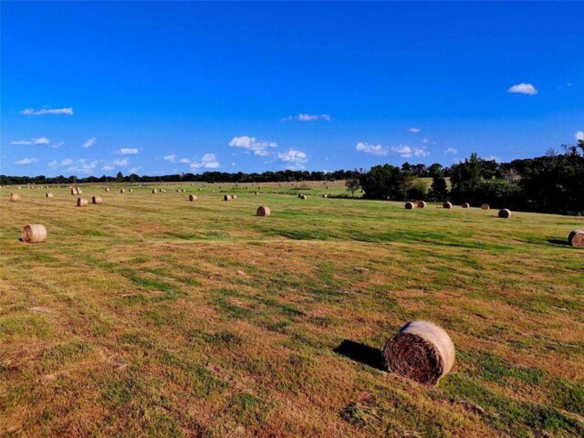 Picture of Residential Land For Sale in Mount Vernon, Texas, United States