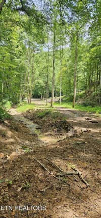 Residential Land For Sale in New Tazewell, Tennessee