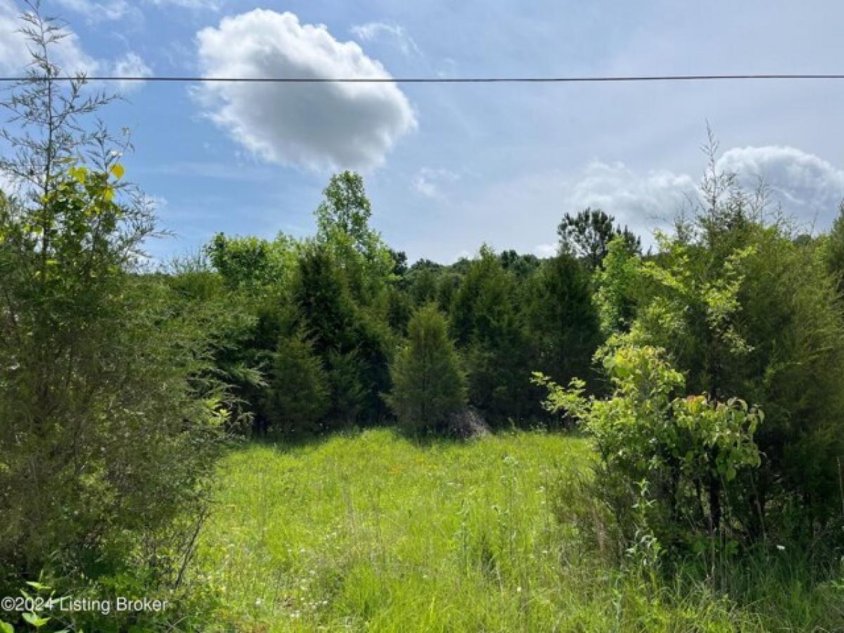 Picture of Residential Land For Sale in Big Clifty, Kentucky, United States