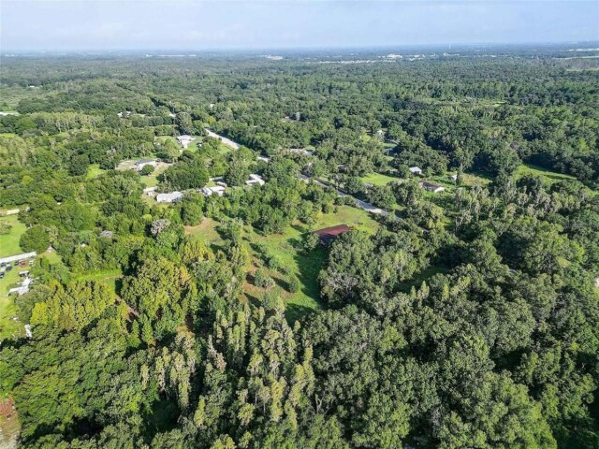 Picture of Residential Land For Sale in Zephyrhills, Florida, United States