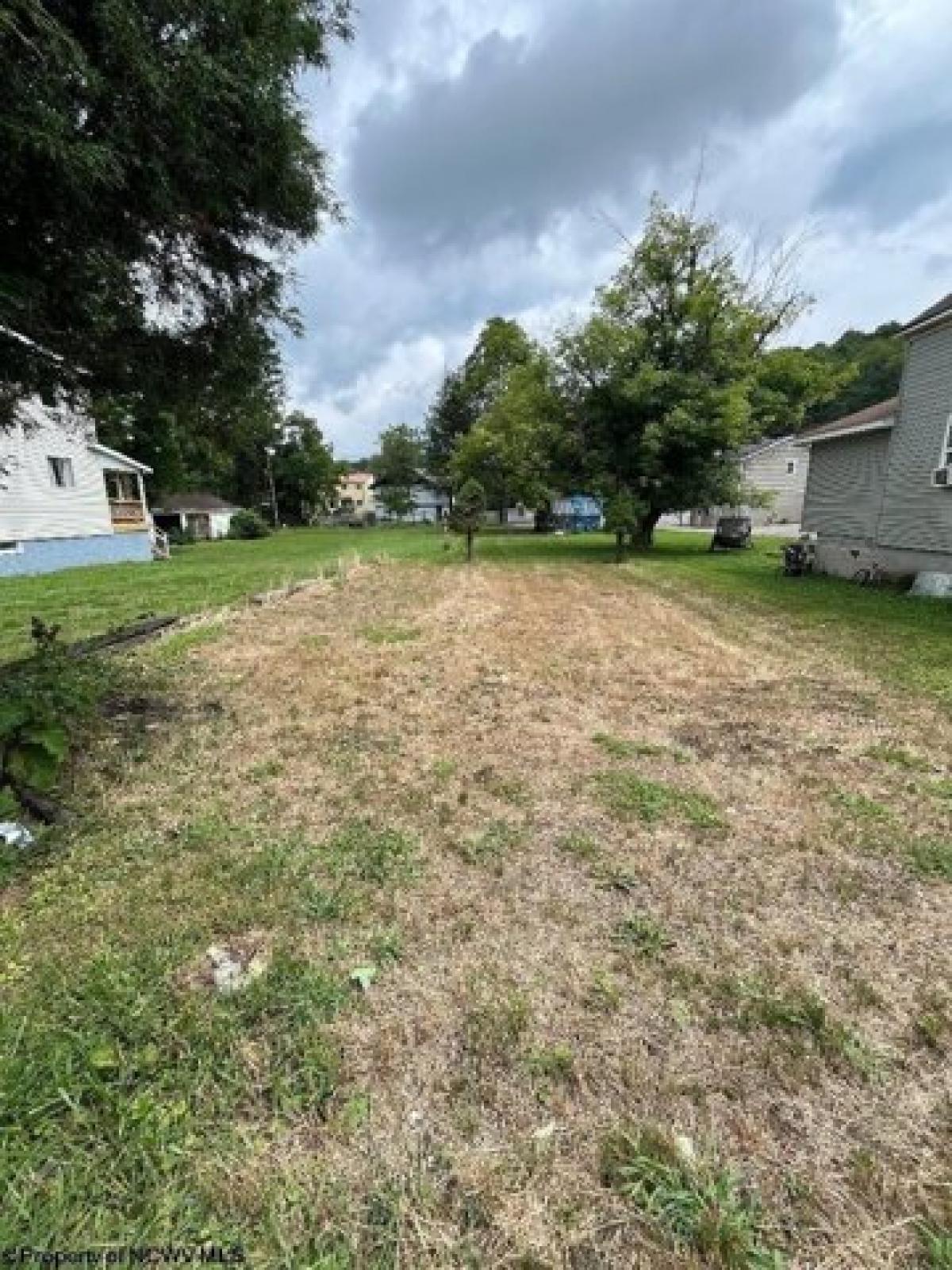 Picture of Residential Land For Sale in Elkins, West Virginia, United States