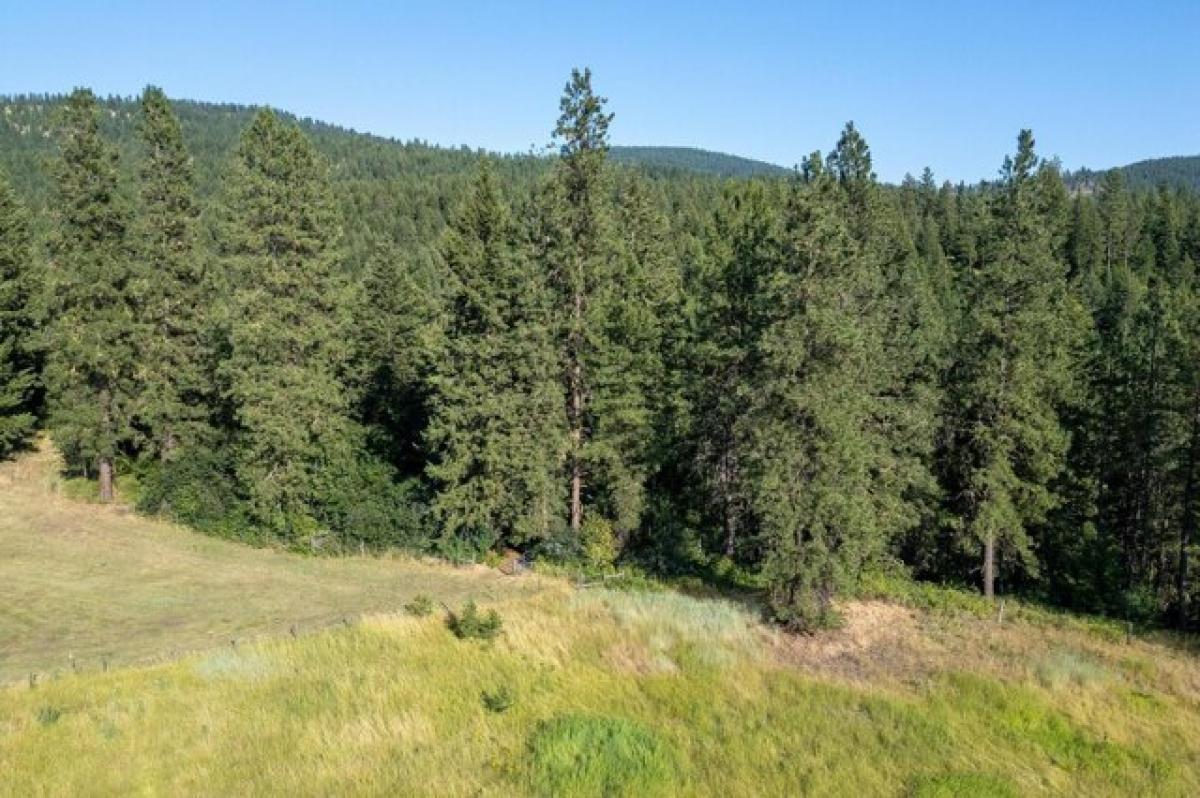 Picture of Residential Land For Sale in Evans, Washington, United States