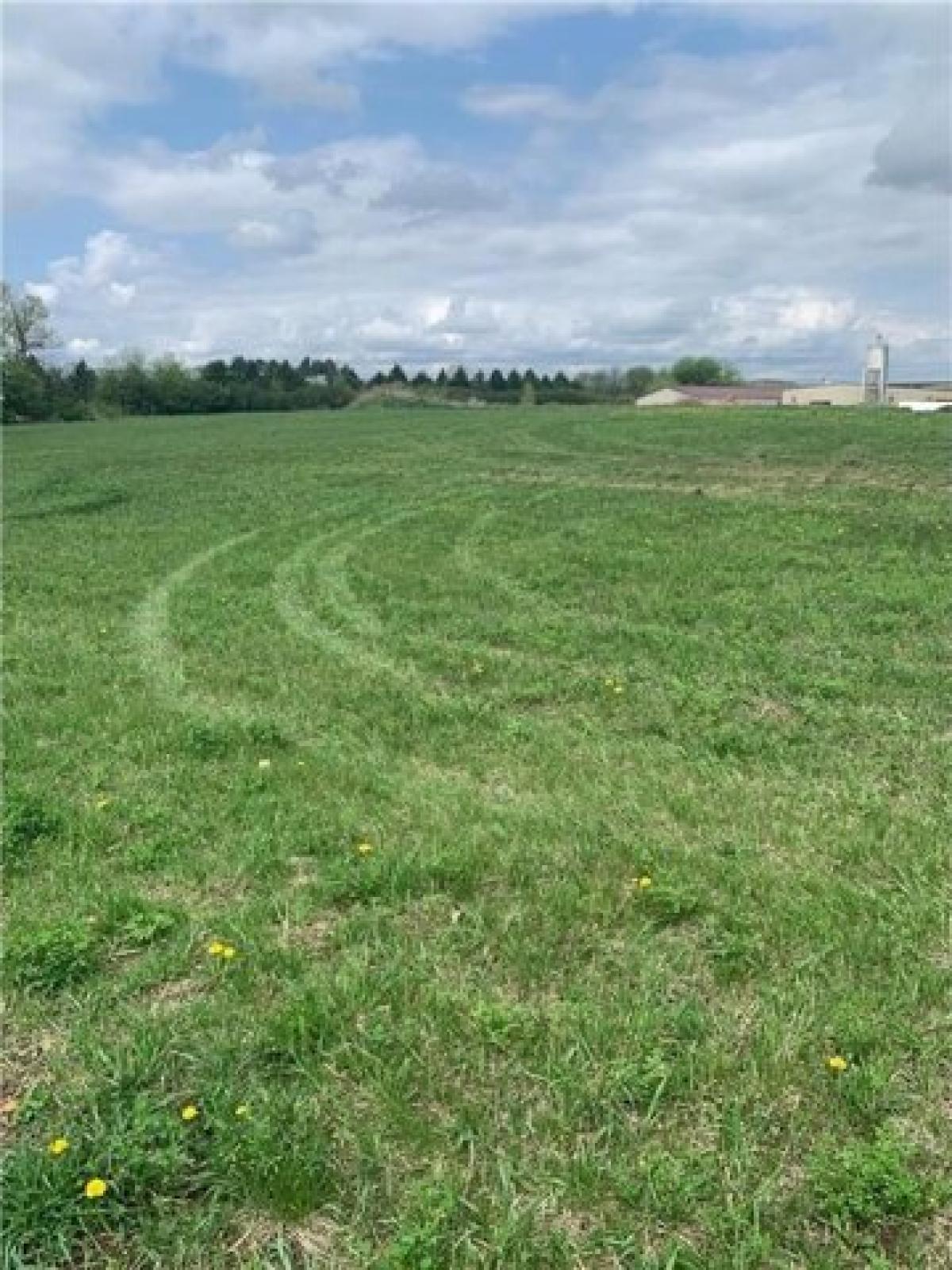 Picture of Residential Land For Sale in Saint Charles, Minnesota, United States