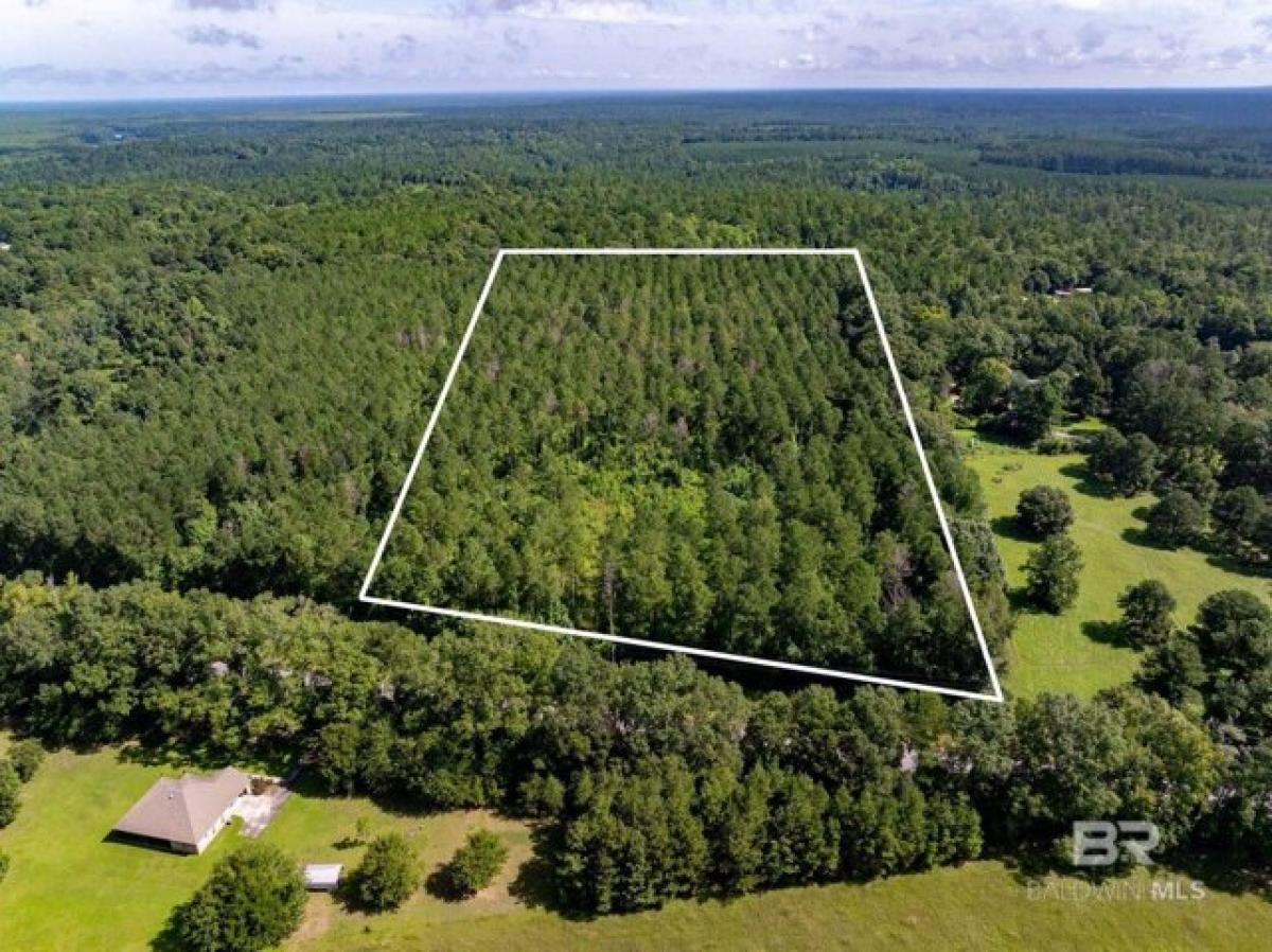 Picture of Residential Land For Sale in Stockton, Alabama, United States