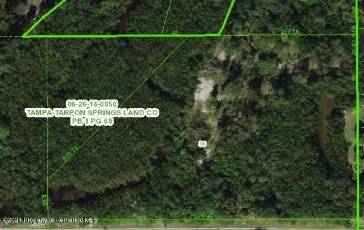 Picture of Residential Land For Sale in New Port Richey, Florida, United States