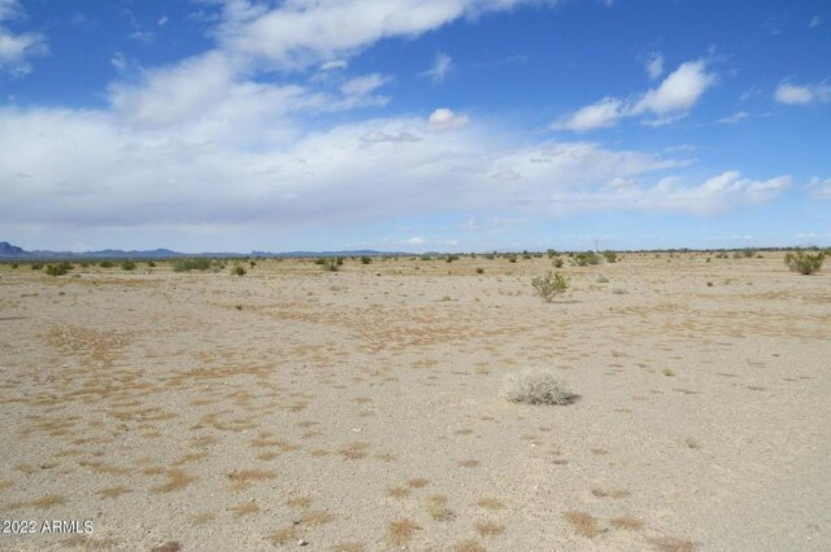 Picture of Residential Land For Sale in Salome, Arizona, United States