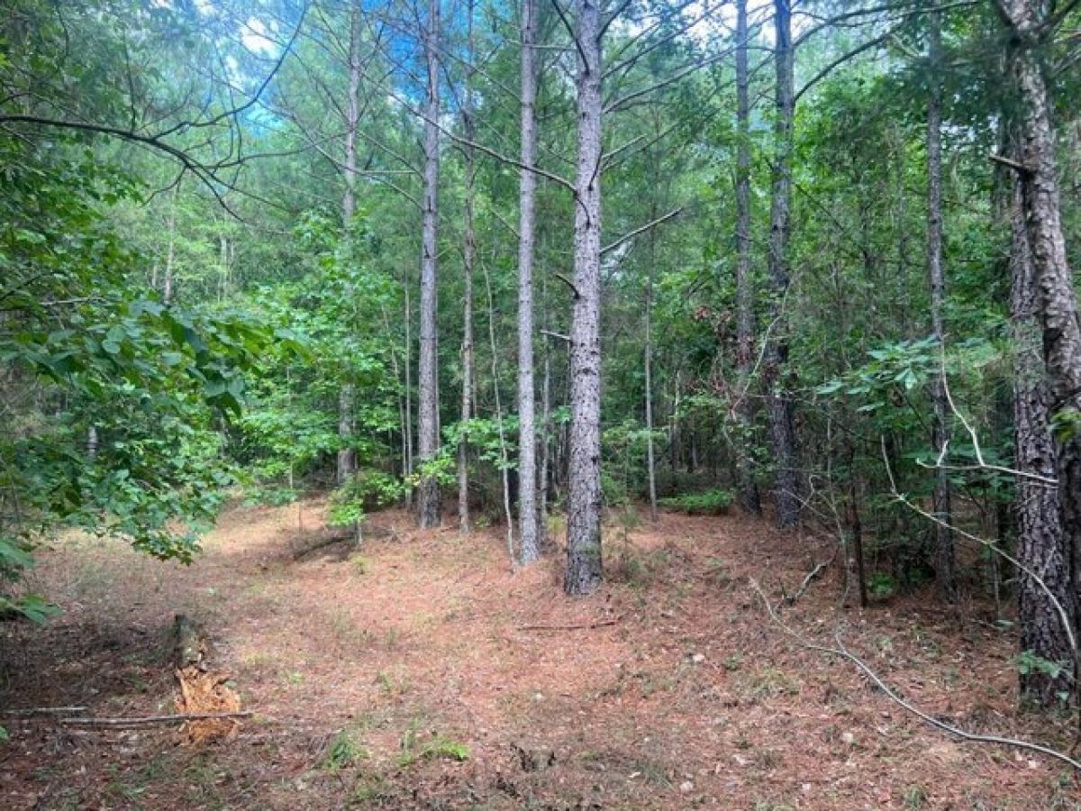 Picture of Residential Land For Sale in Calhoun Falls, South Carolina, United States