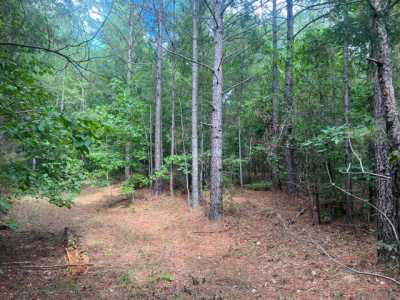 Residential Land For Sale in Calhoun Falls, South Carolina