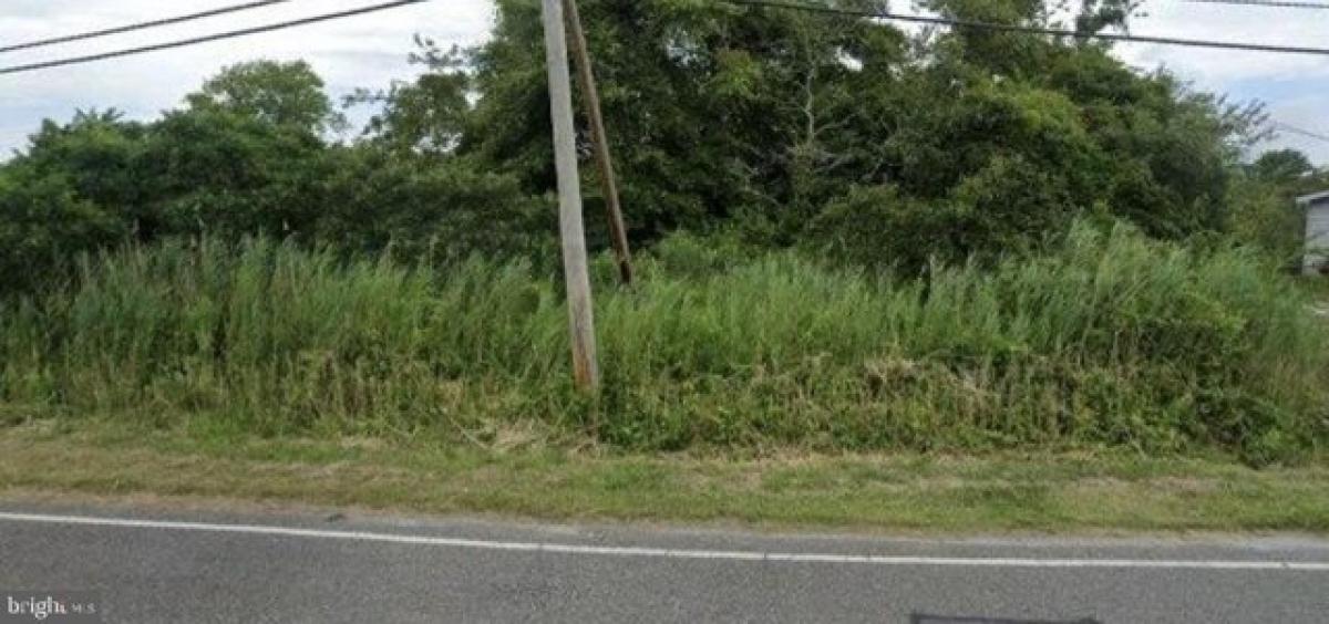 Picture of Residential Land For Sale in Fortescue, New Jersey, United States