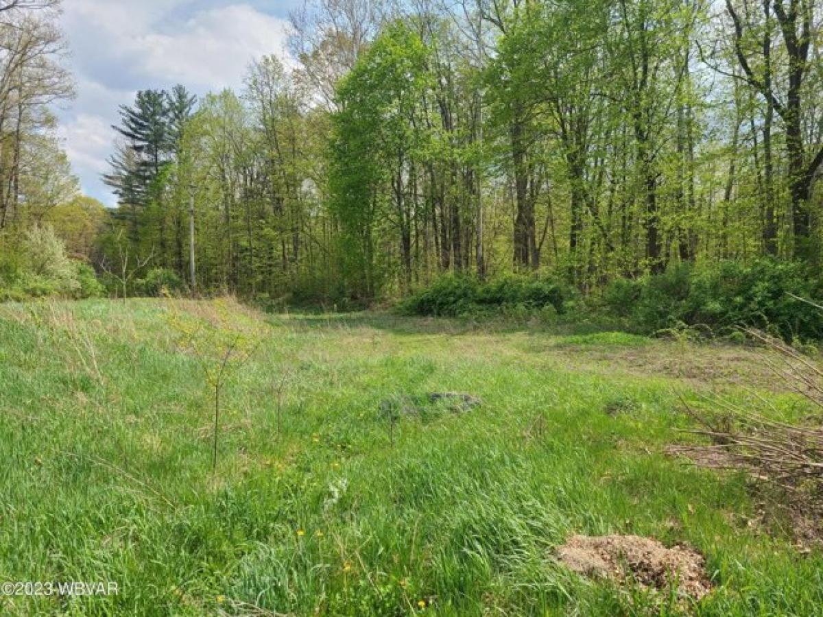 Picture of Residential Land For Sale in Lamar, Pennsylvania, United States