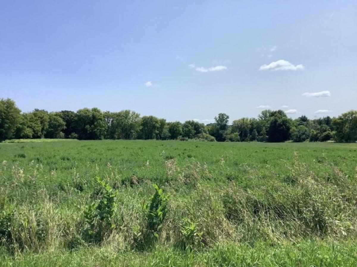 Picture of Residential Land For Sale in Manawa, Wisconsin, United States