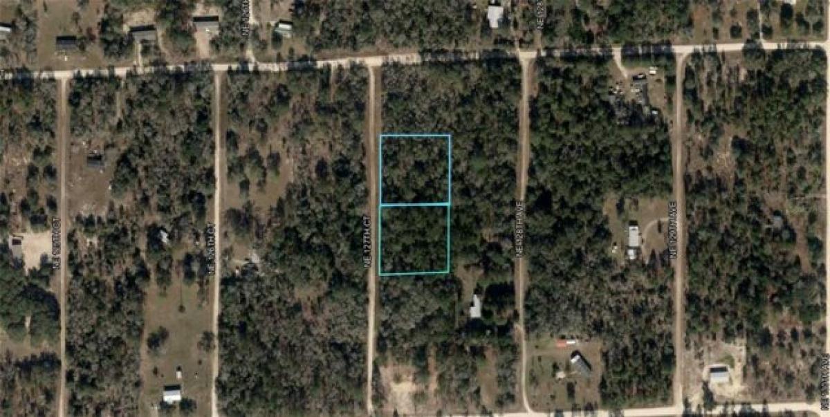 Picture of Residential Land For Sale in Williston, Florida, United States