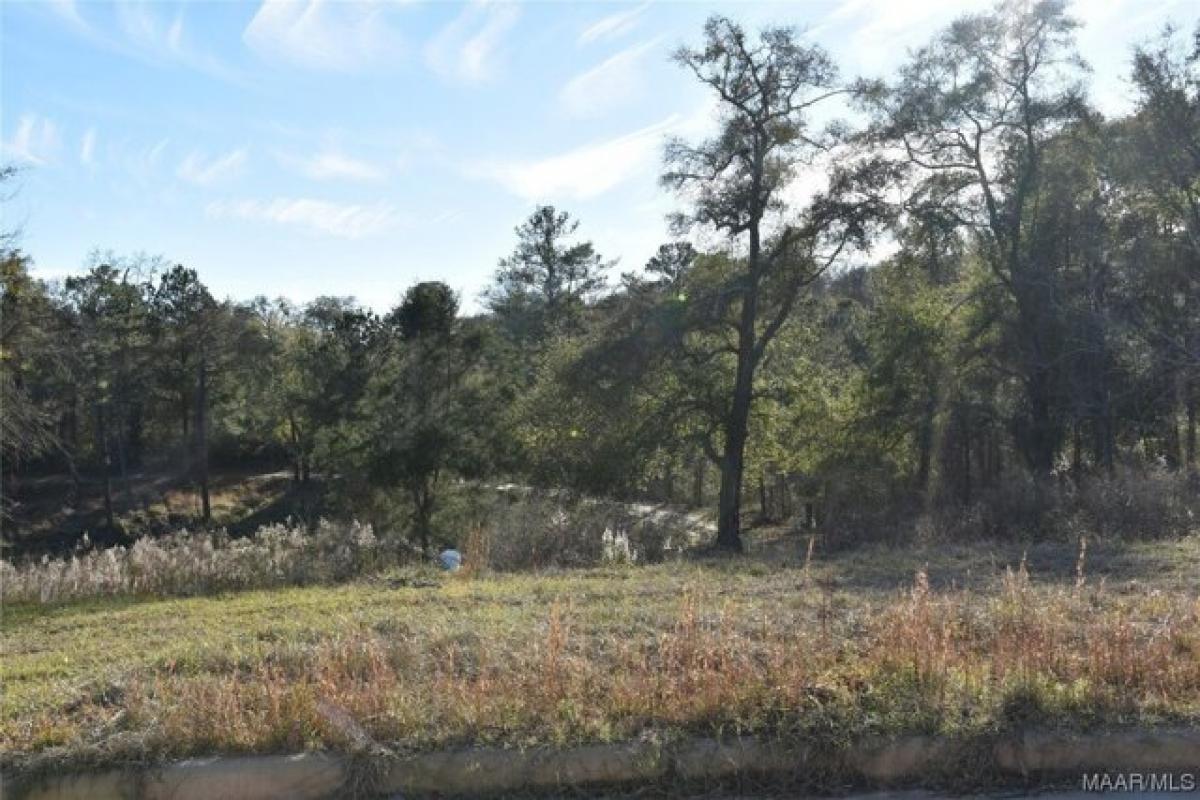 Picture of Residential Land For Sale in Enterprise, Alabama, United States