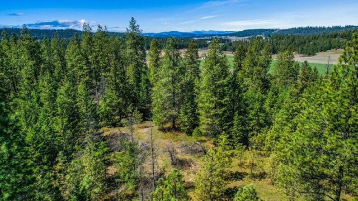 Picture of Residential Land For Sale in Colbert, Washington, United States