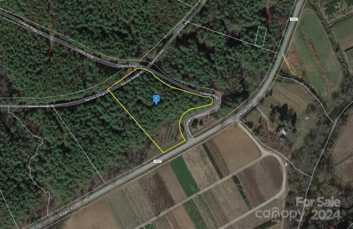 Picture of Residential Land For Sale in Collettsville, North Carolina, United States