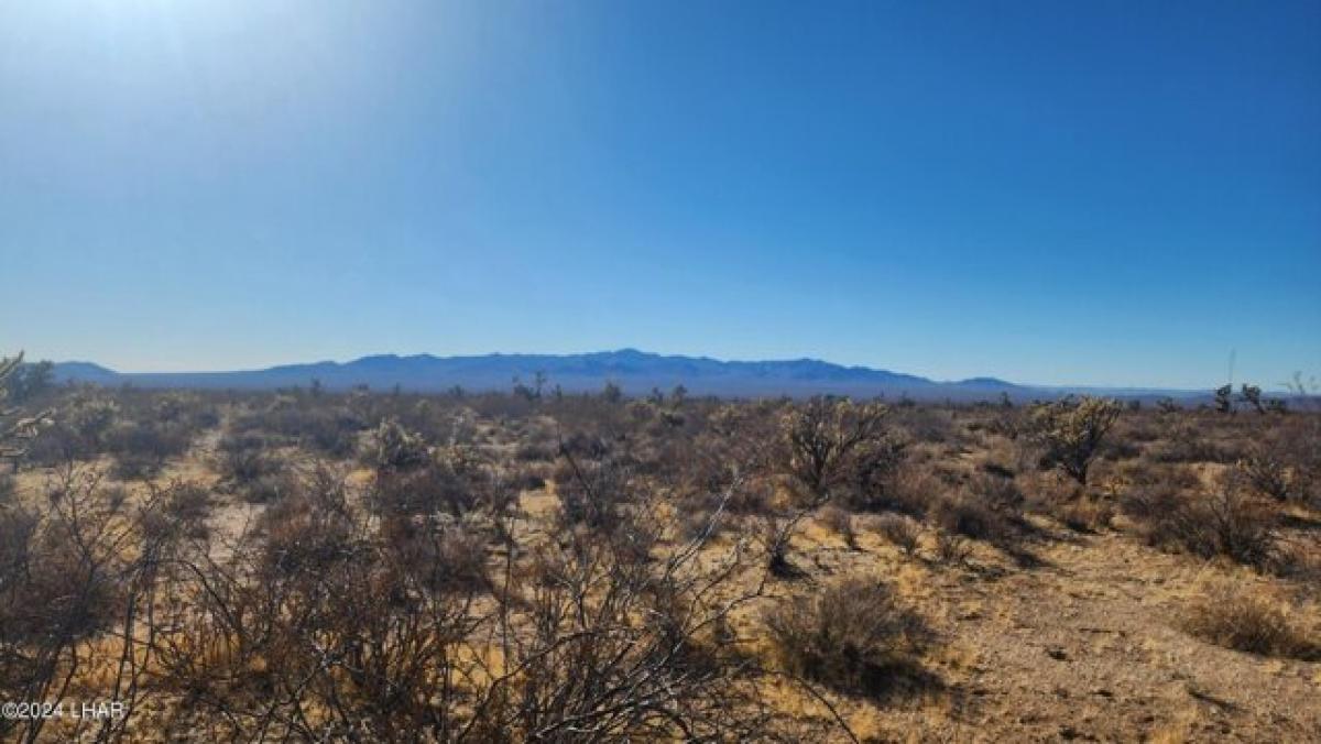 Picture of Residential Land For Sale in Yucca, Arizona, United States