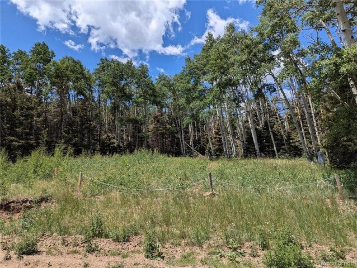 Picture of Residential Land For Sale in Fort Garland, Colorado, United States