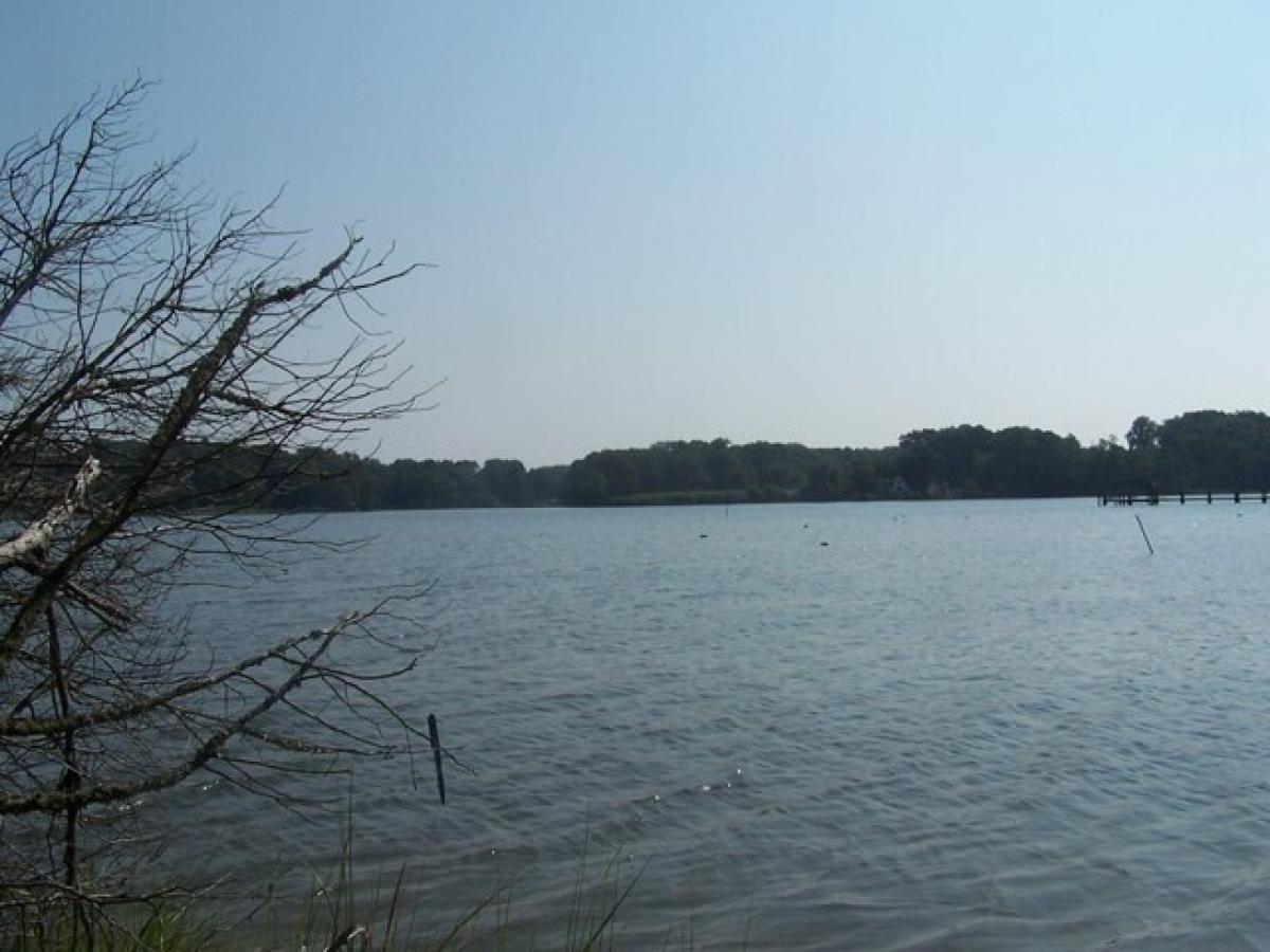 Picture of Residential Land For Sale in Reedville, Virginia, United States