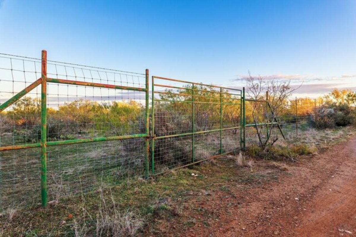 Picture of Residential Land For Sale in Brady, Texas, United States