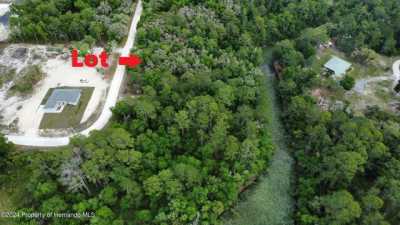 Residential Land For Sale in Webster, Florida