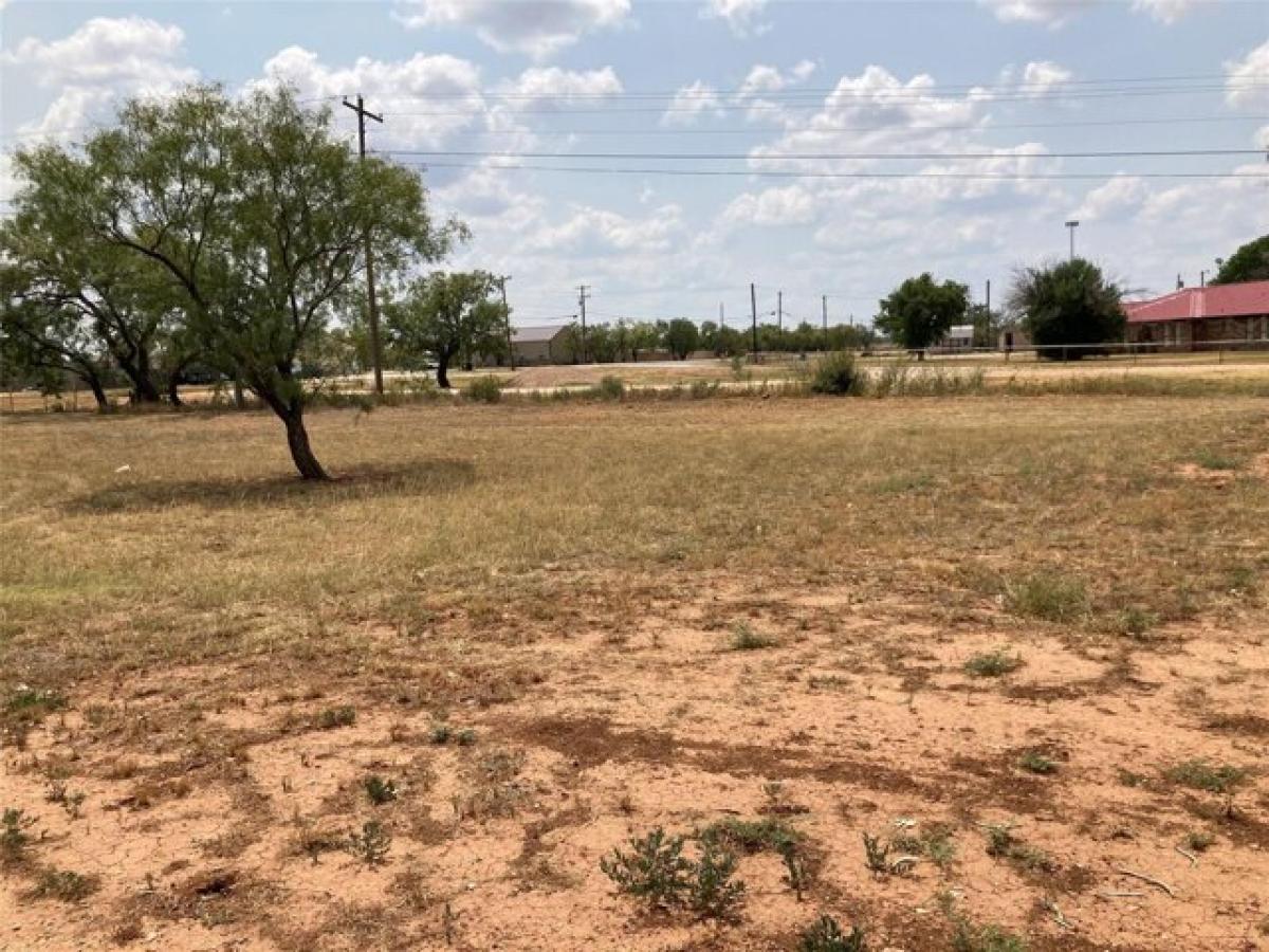 Picture of Residential Land For Sale in Merkel, Texas, United States