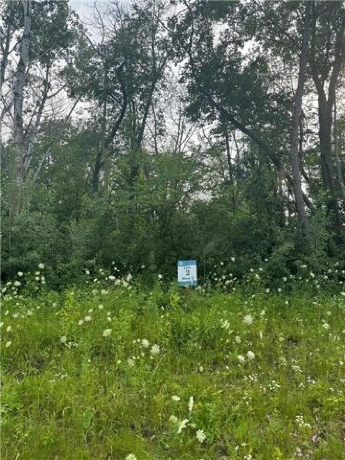 Picture of Residential Land For Sale in Prior Lake, Minnesota, United States