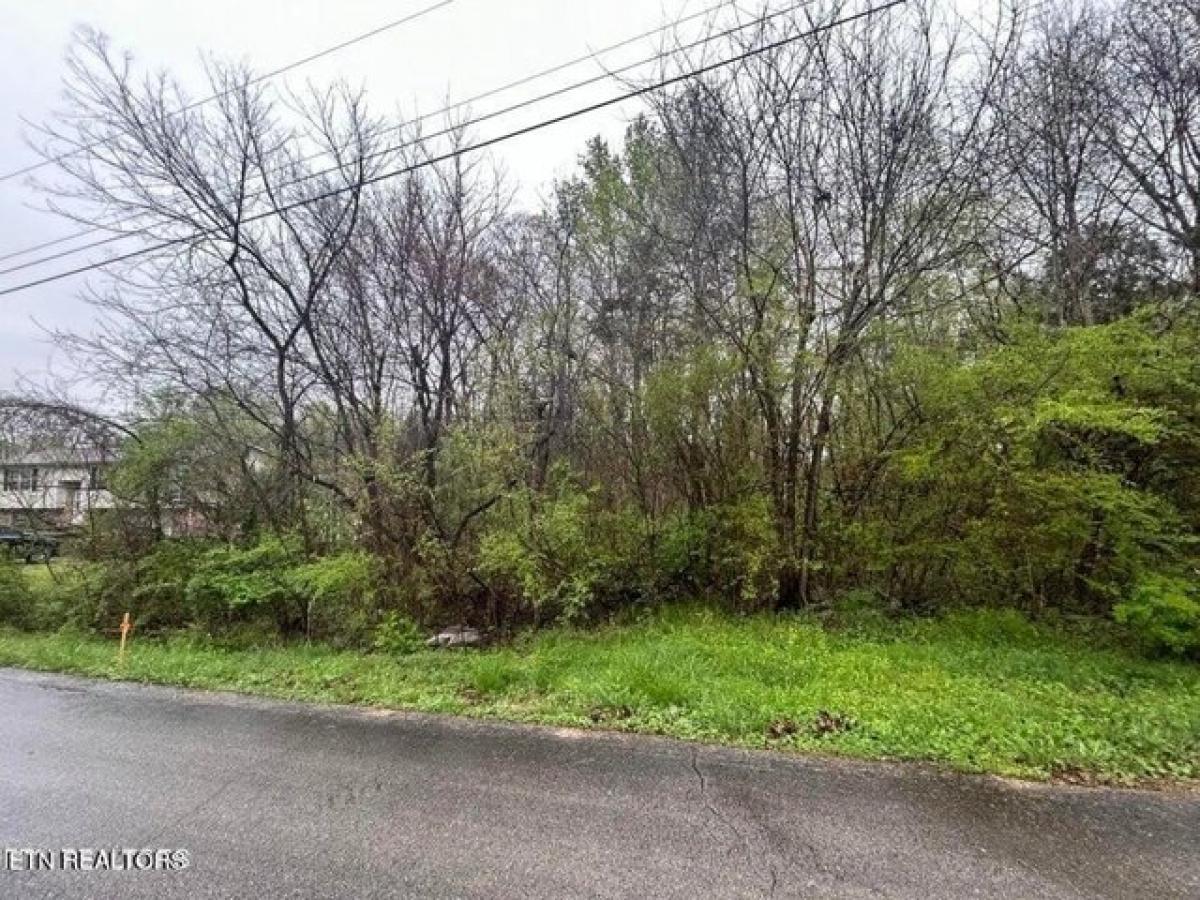 Picture of Residential Land For Sale in Harriman, Tennessee, United States