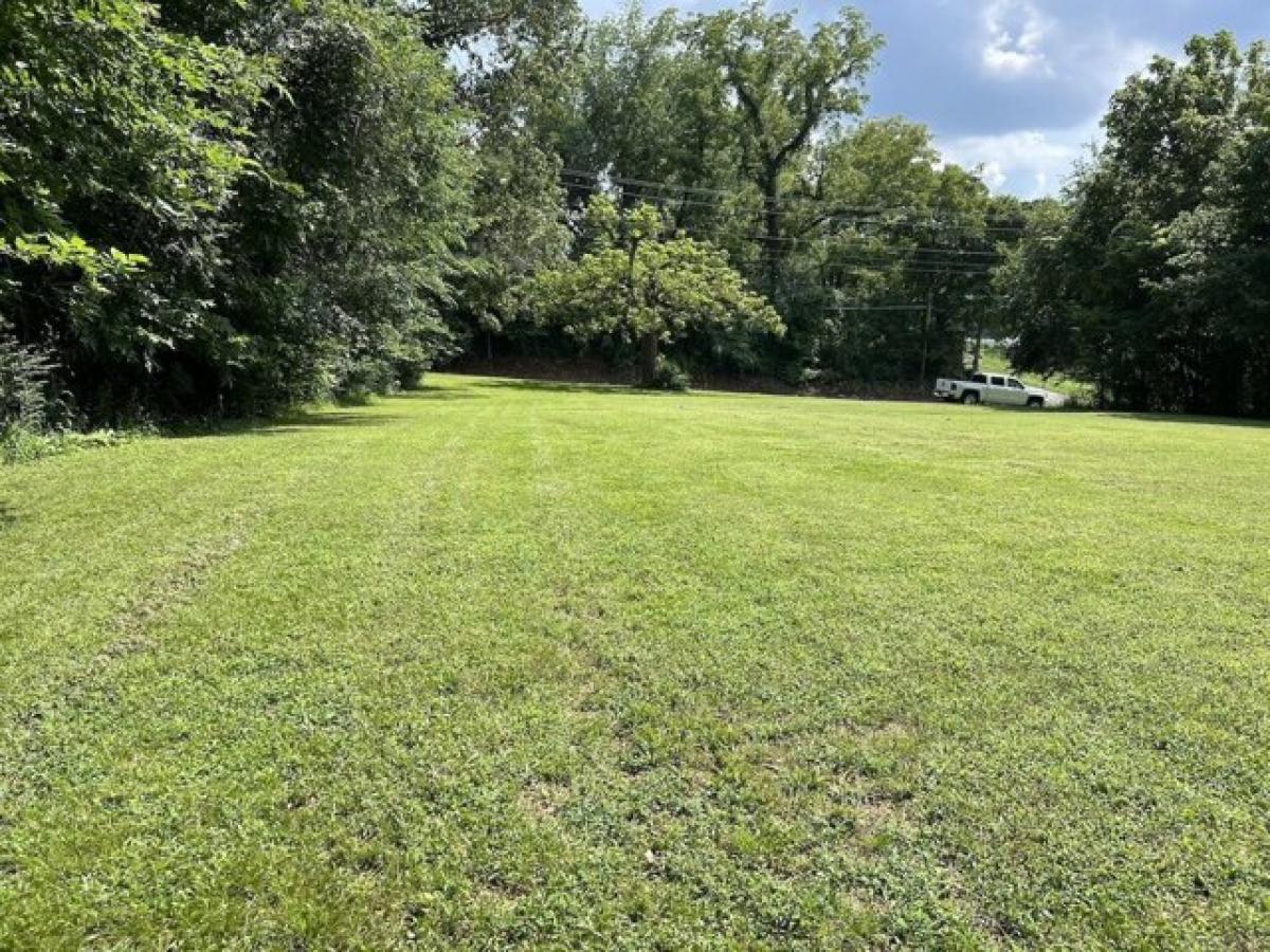 Picture of Residential Land For Sale in Mammoth Spring, Arkansas, United States