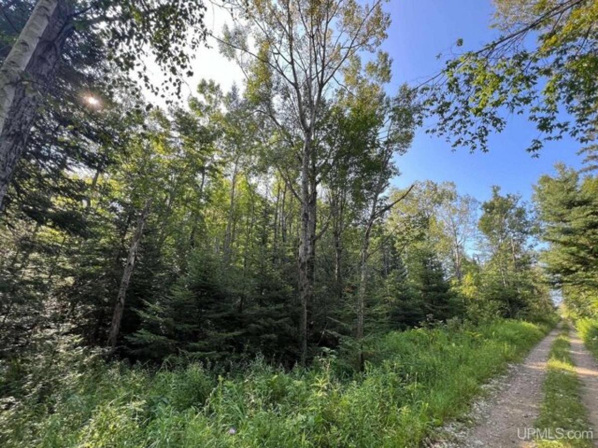 Picture of Residential Land For Sale in Garden, Michigan, United States