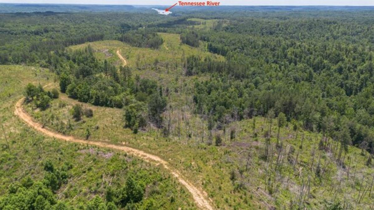 Picture of Residential Land For Sale in Parsons, Tennessee, United States