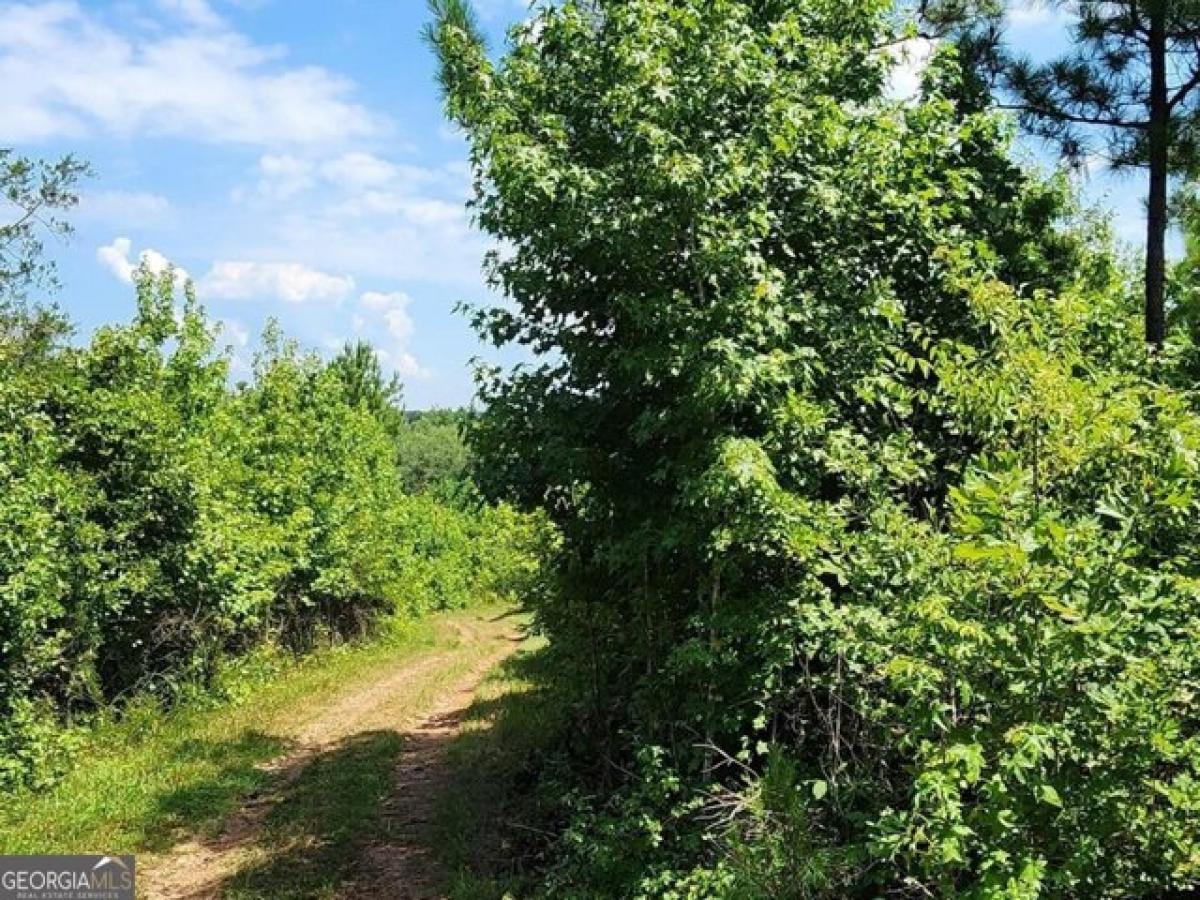 Picture of Residential Land For Sale in Zebulon, Georgia, United States