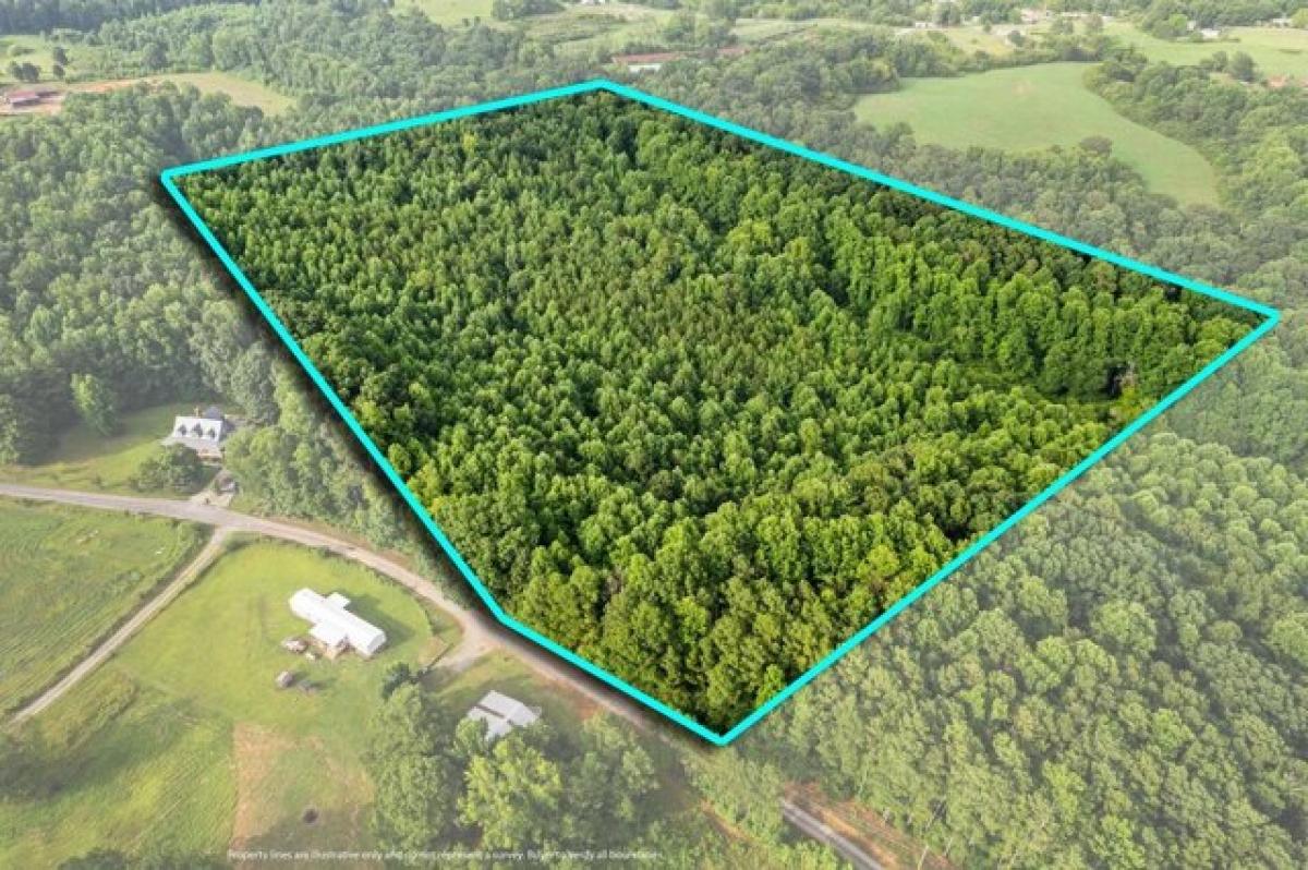 Picture of Residential Land For Sale in Cullman, Alabama, United States