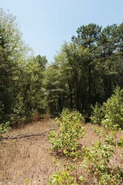 Residential Land For Sale in Mount Enterprise, Texas