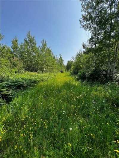 Residential Land For Sale in Bigfork, Minnesota