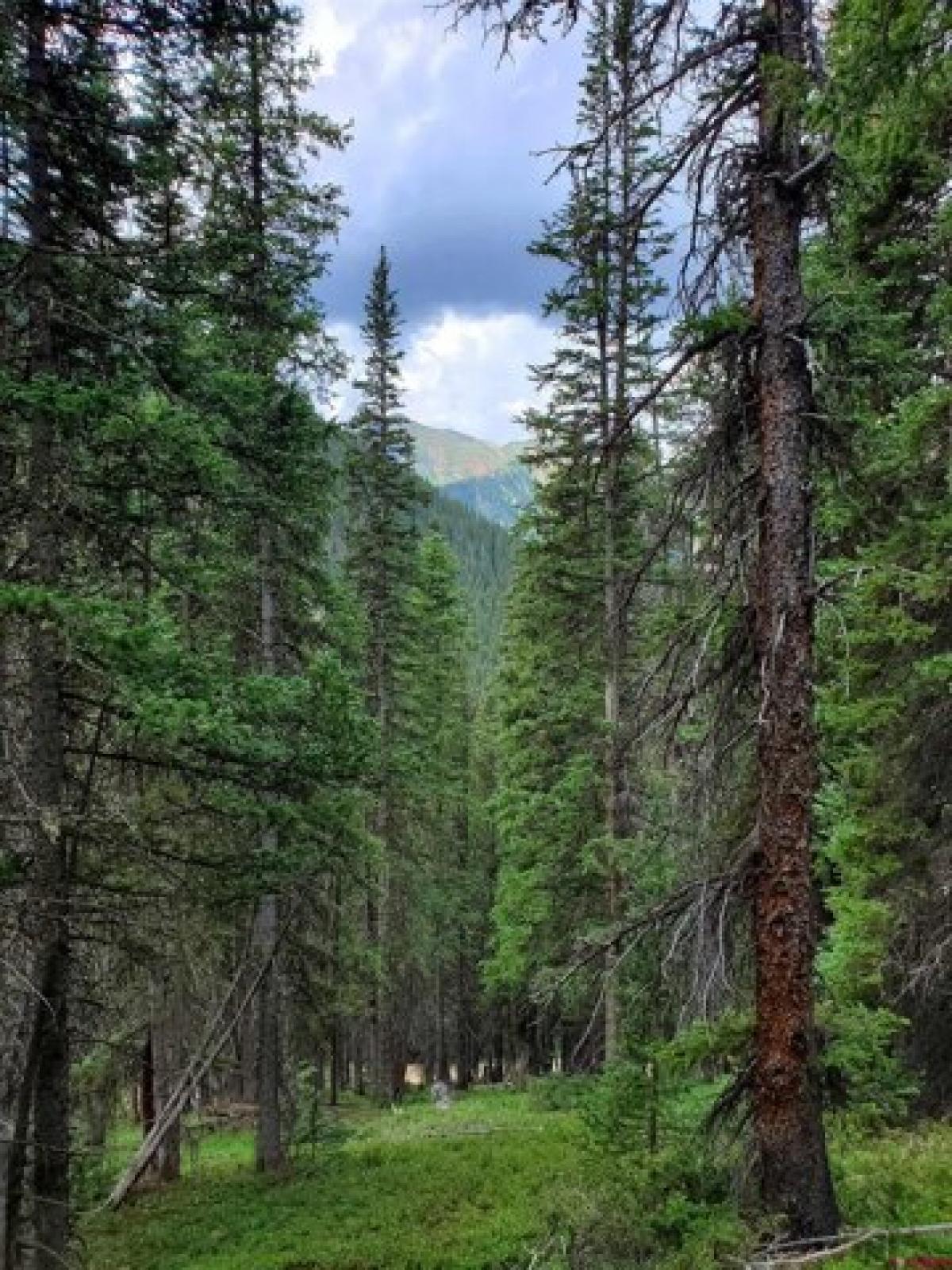 Picture of Residential Land For Sale in Silverton, Colorado, United States