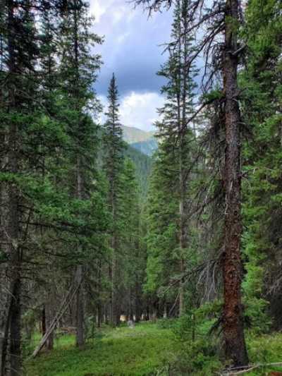 Residential Land For Sale in Silverton, Colorado