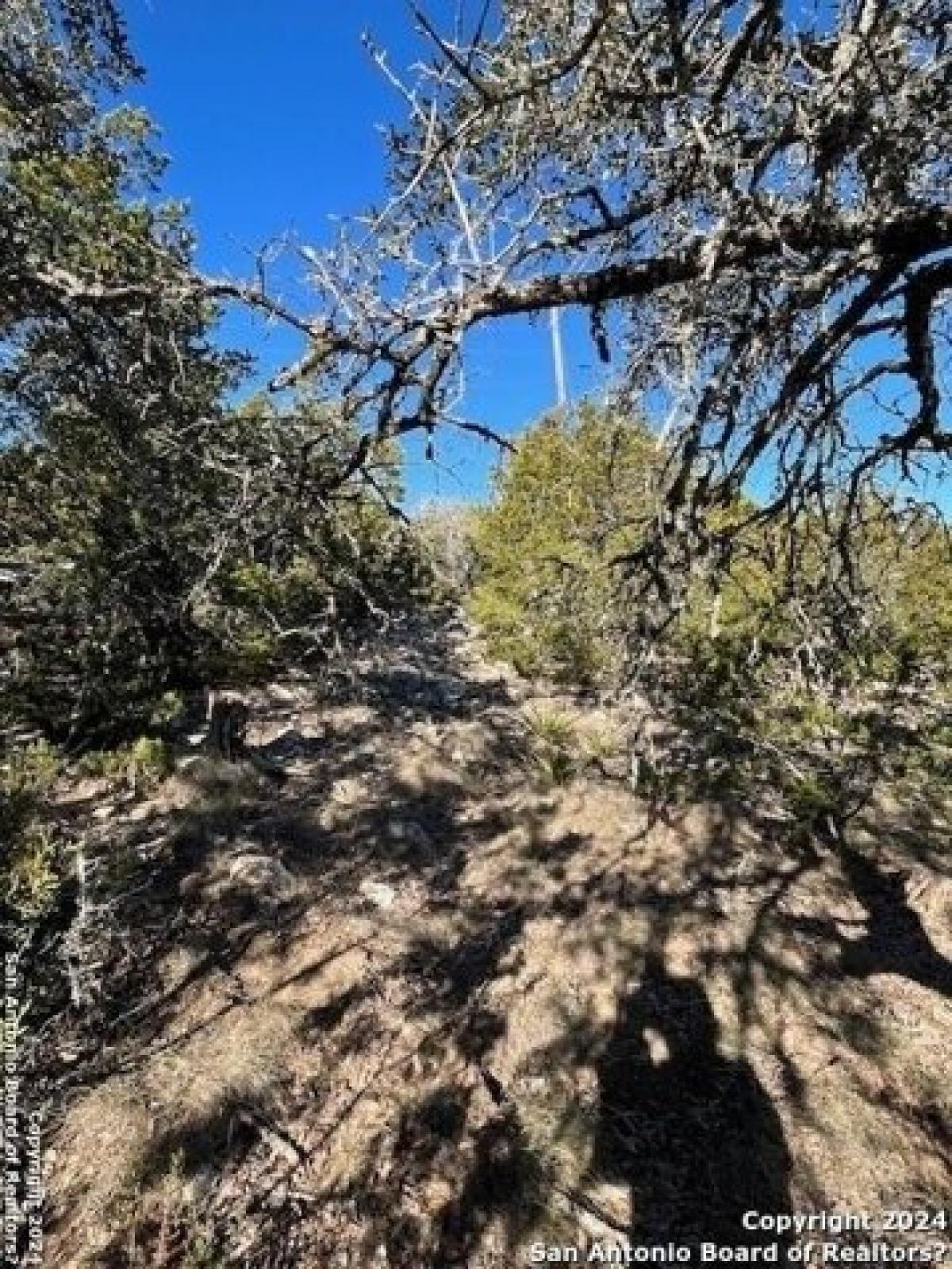 Picture of Residential Land For Sale in Dripping Springs, Texas, United States