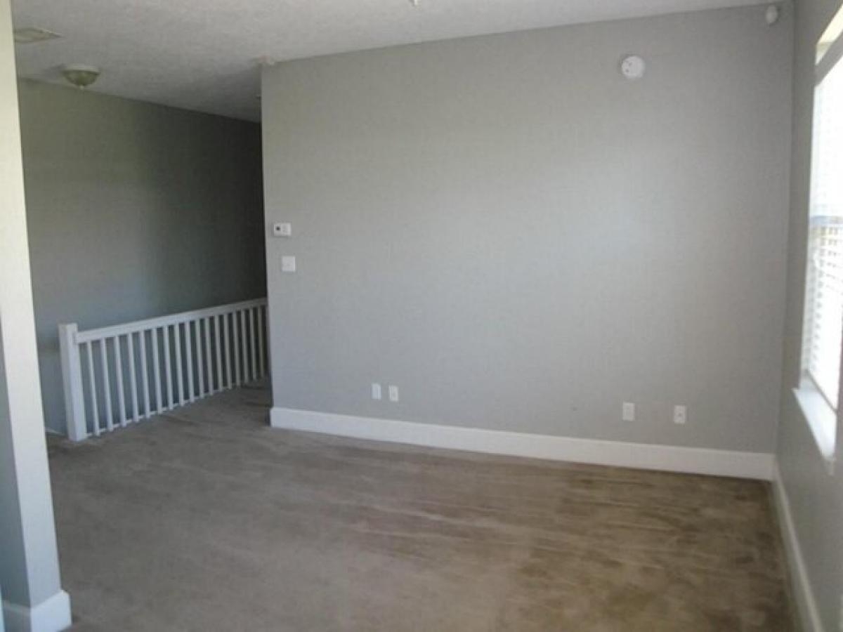 Picture of Apartment For Rent in Galveston, Texas, United States