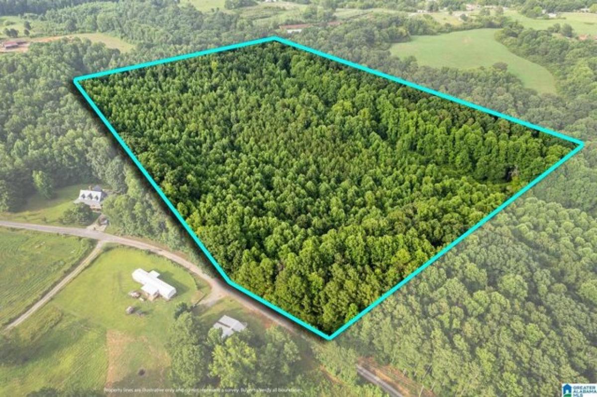 Picture of Residential Land For Sale in Cullman, Alabama, United States