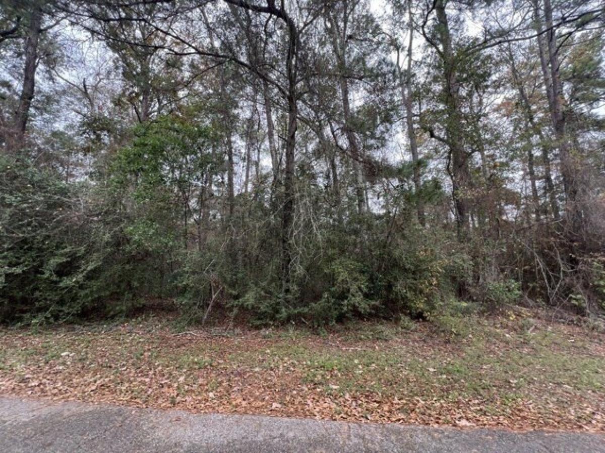 Picture of Residential Land For Sale in New Caney, Texas, United States